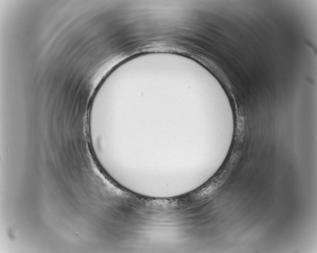 X0000103470855200810100933