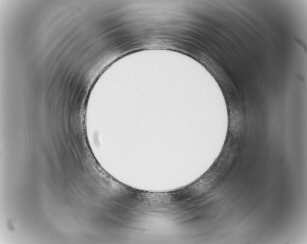 X0000103470856200810100933