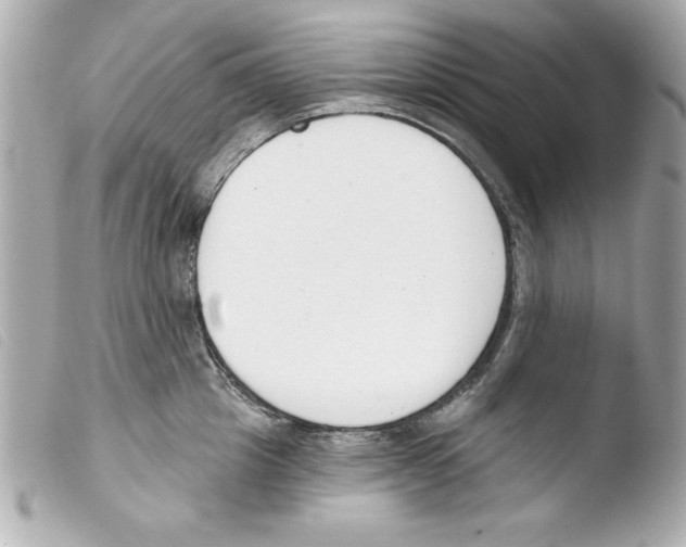 X0000103470857200810100933