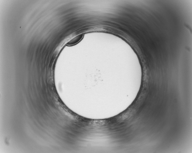 X0000103470858200810100933