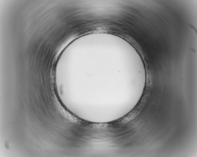 X0000103470859200810100933