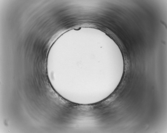 X0000103470860200810100933