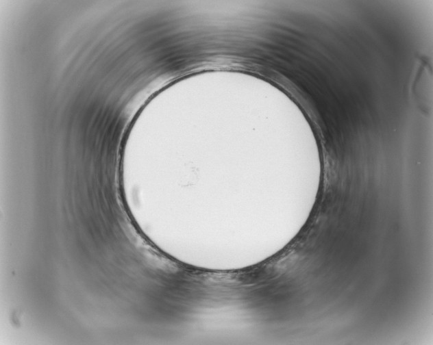 X0000103470861200810100933