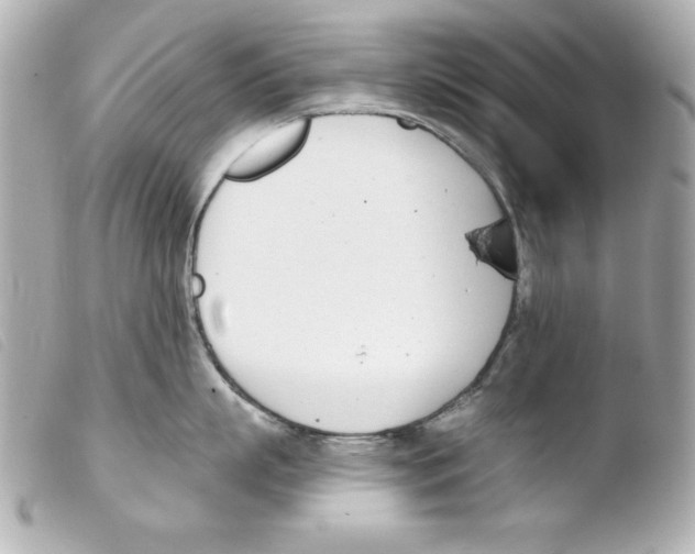 X0000103470863200810100933
