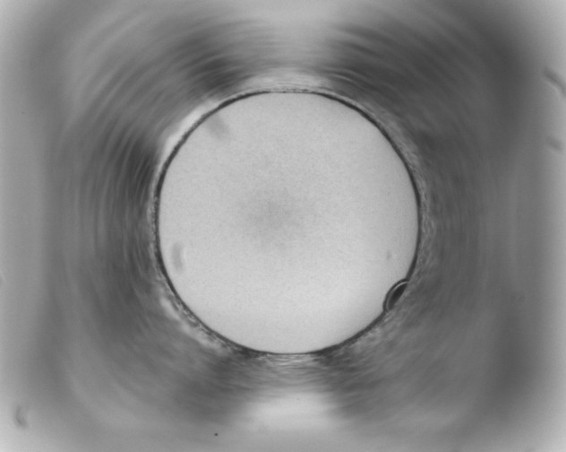 X0000103470864200810100933