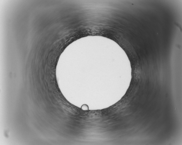X0000103470865200810100932