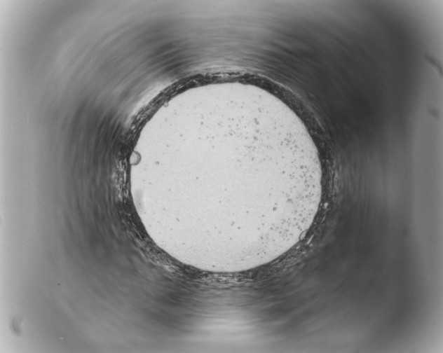 X0000103470871200810100932