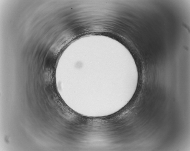 X0000103470873200810100932