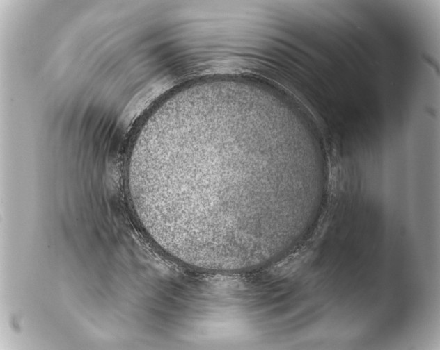 X0000103470874200810100932