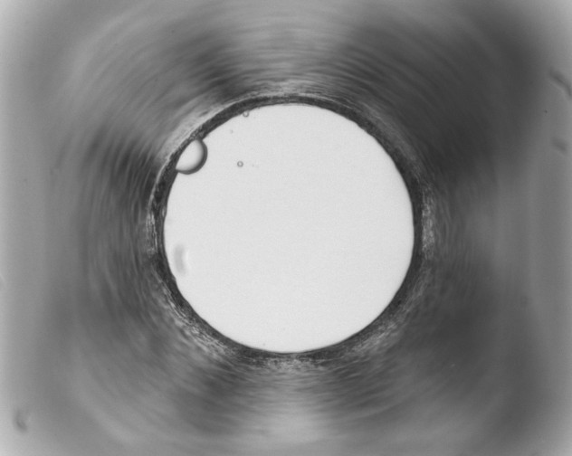 X0000103470876200810100932