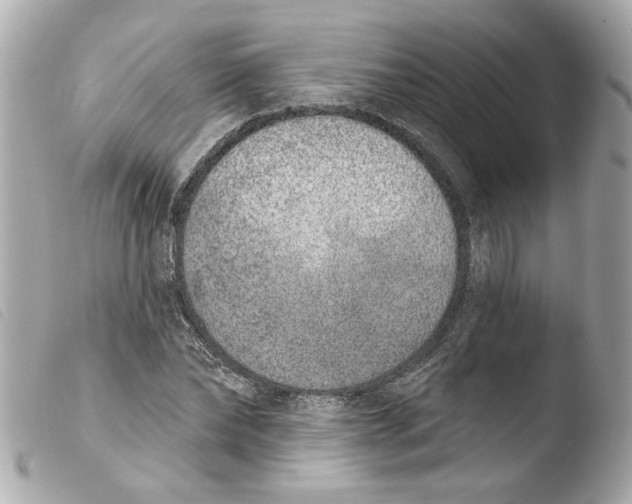 X0000103470878200810100932