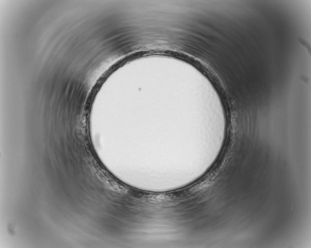 X0000103470879200810100932