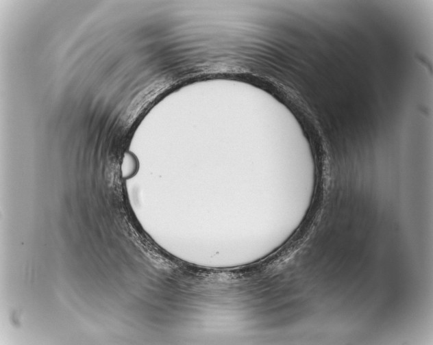 X0000103470881200810100932