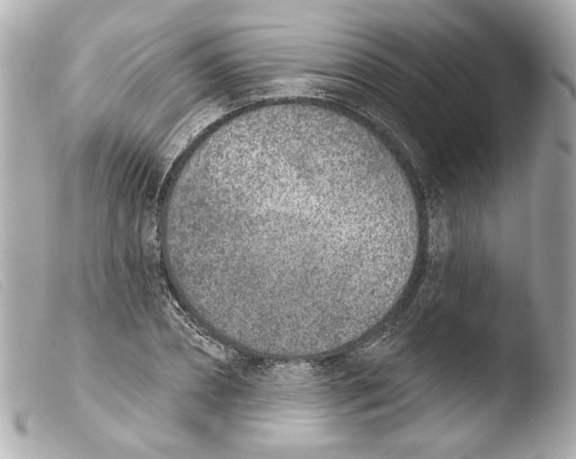 X0000103470882200810100932