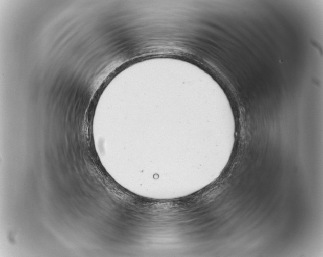 X0000103470883200810100932