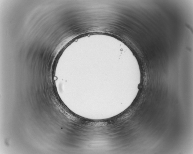 X0000103470884200810100932