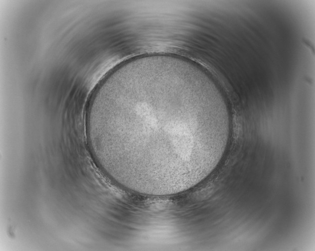 X0000103470886200810100932