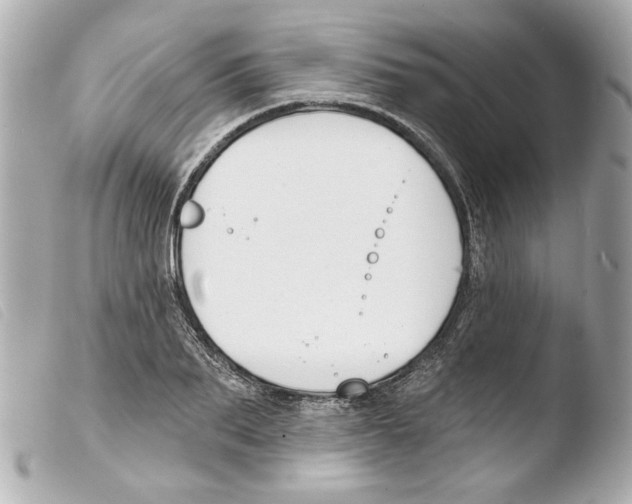 X0000103470887200810100932