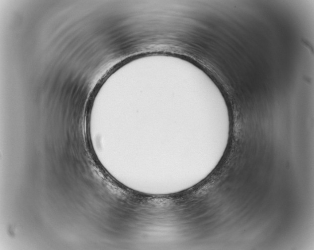 X0000103470888200810100932