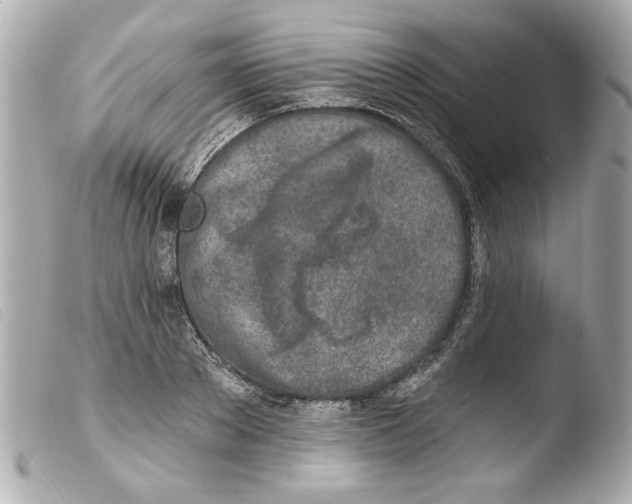 X0000103470889200810100932