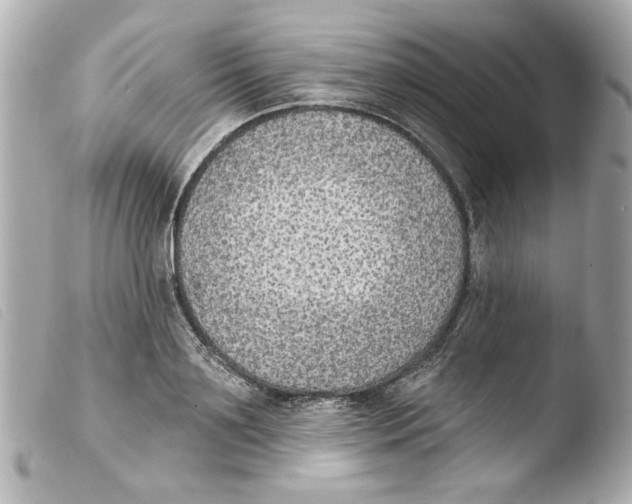 X0000103470891200810100932