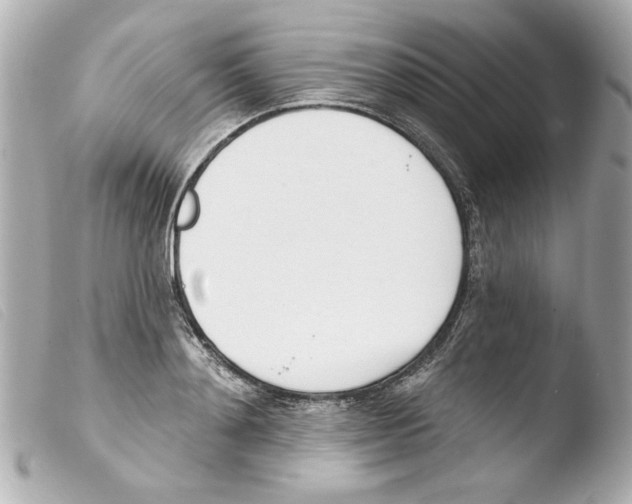 X0000103470892200810100932