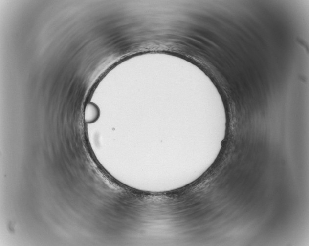 X0000103470894200810100932