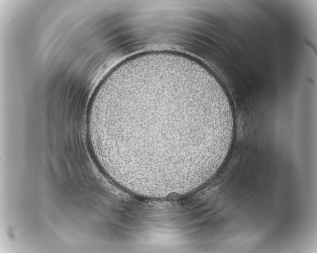 X0000103470895200810100932