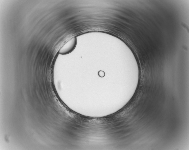 X0000103470898200810100932
