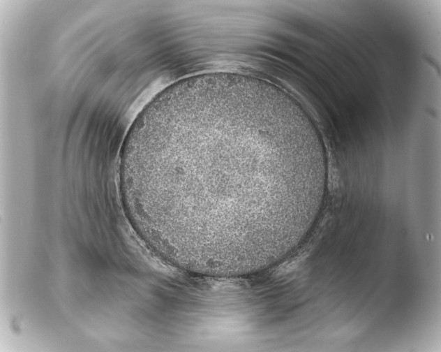 X0000103470899200810100932