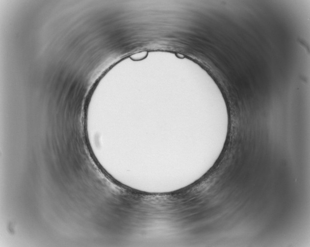 X0000103470902200810100932