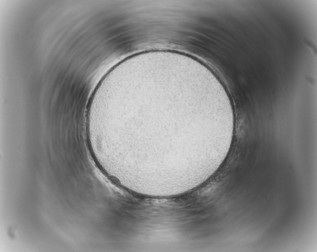 X0000103470903200810100932