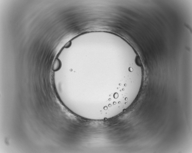 X0000103470909200810100932