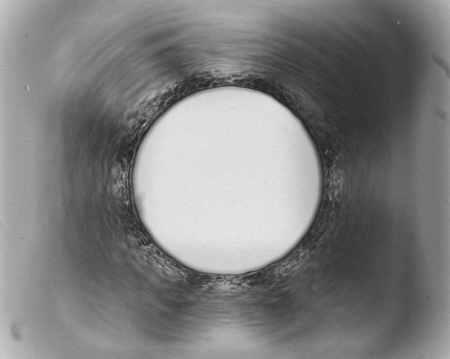 X0000103470917200810100931
