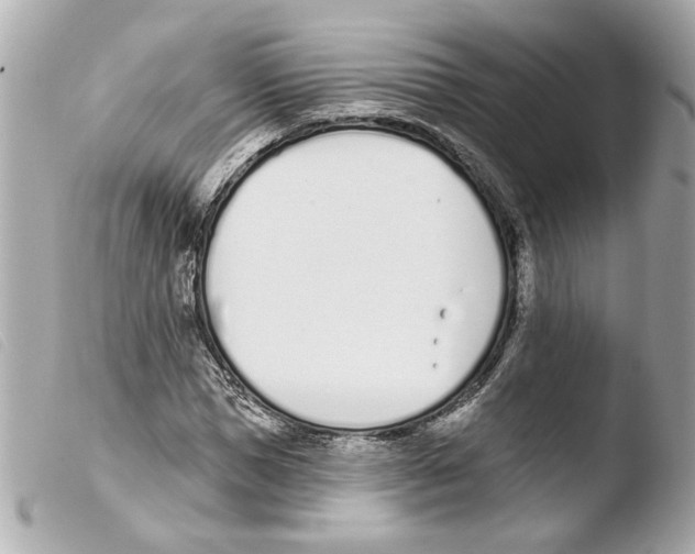 X0000103470921200810100931