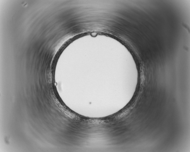 X0000103470924200810100931