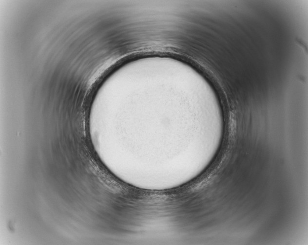 X0000103470925200810100931