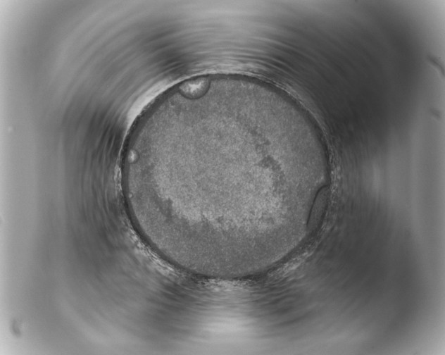 X0000103470928200810100931