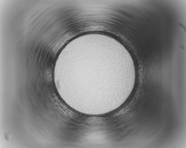 X0000103470929200810100931