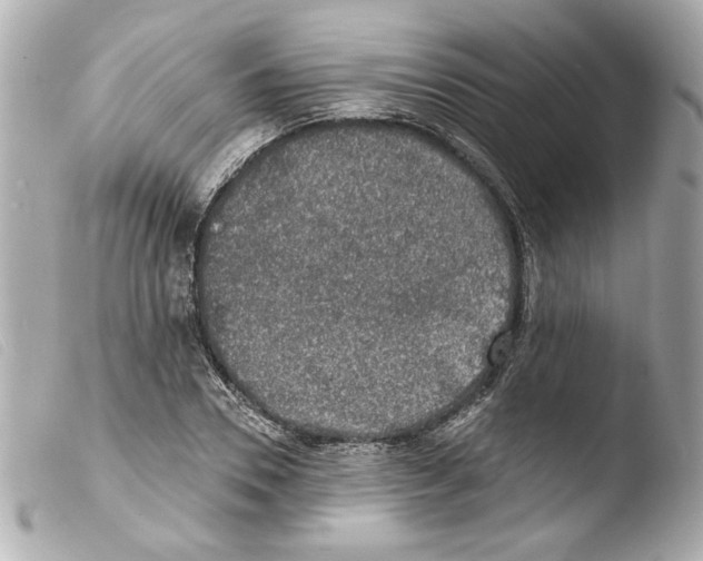 X0000103470930200810100931