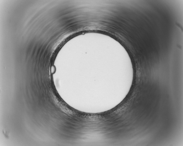 X0000103470934200810100931