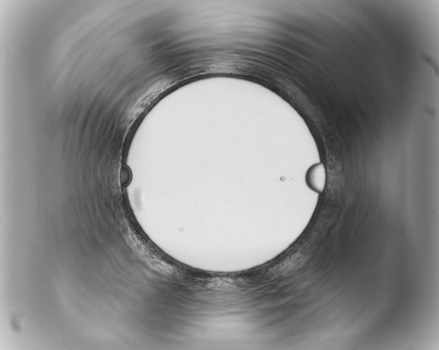 X0000103470938200810100931