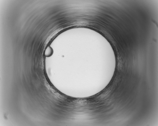 X0000103470939200810100931