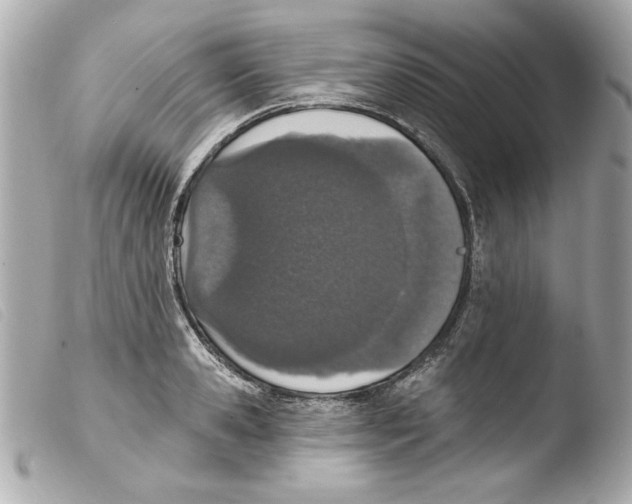 X0000103470941200810100931