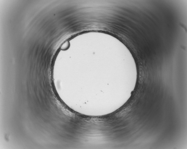 X0000103470942200810100931