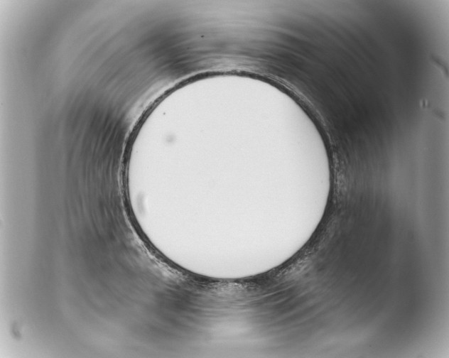 X0000103470943200810100931