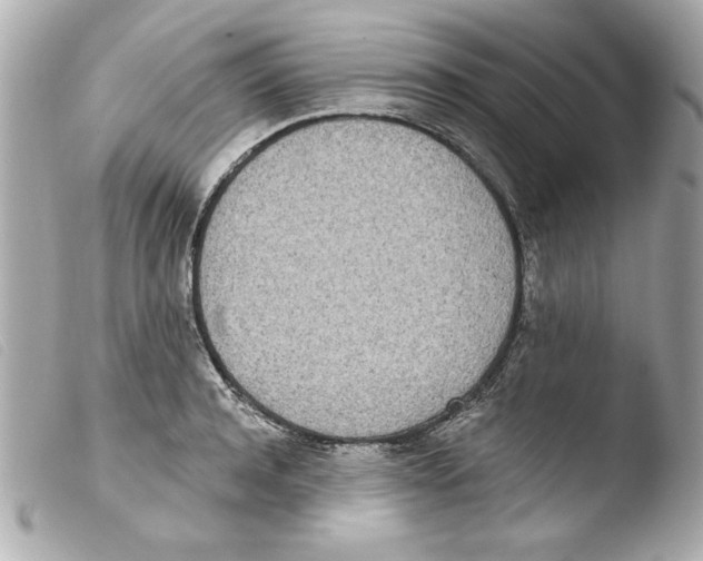 X0000103470944200810100931