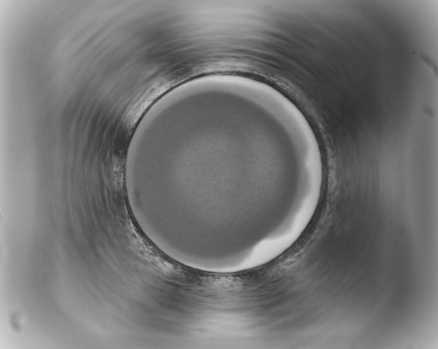 X0000103470945200810100931