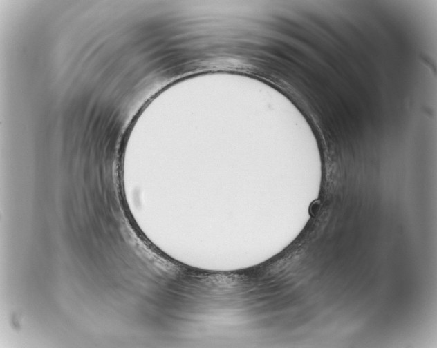 X0000103470947200810100931