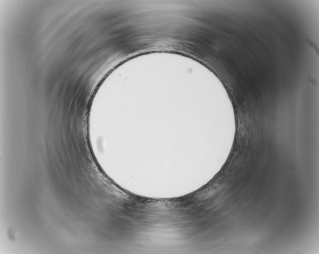 X0000103470950200810100931